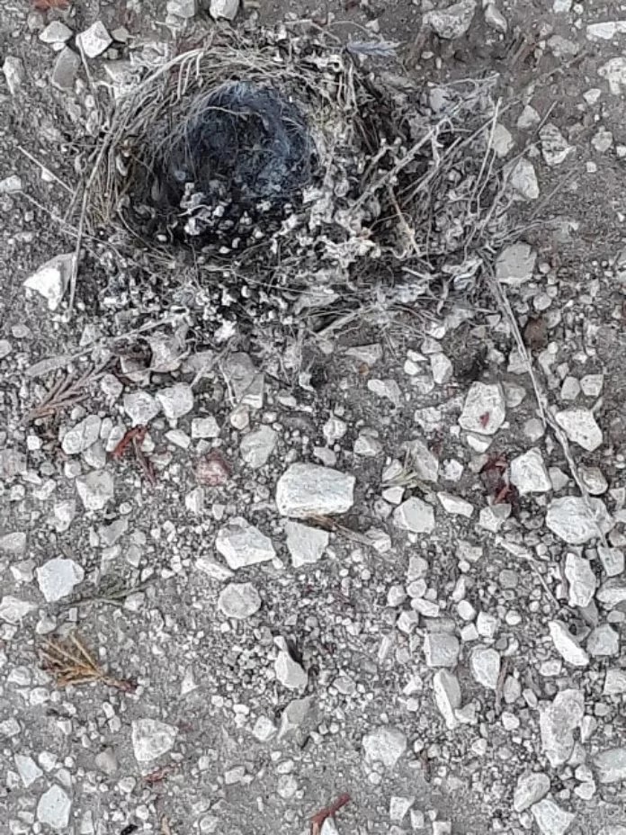 _legacy_2017_11_unnamed-2