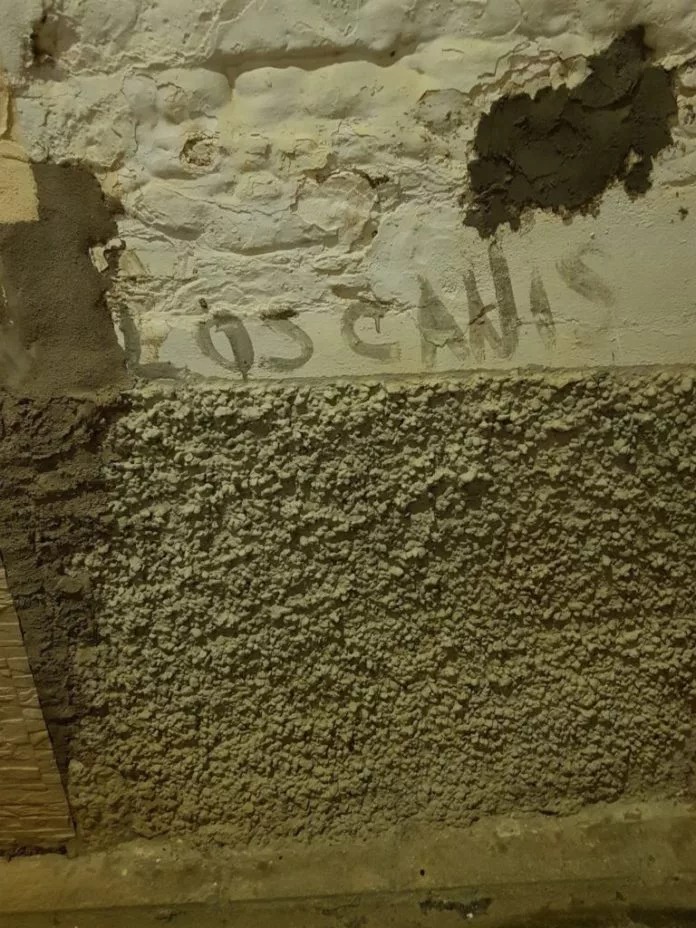 _legacy_2019_05_canis1