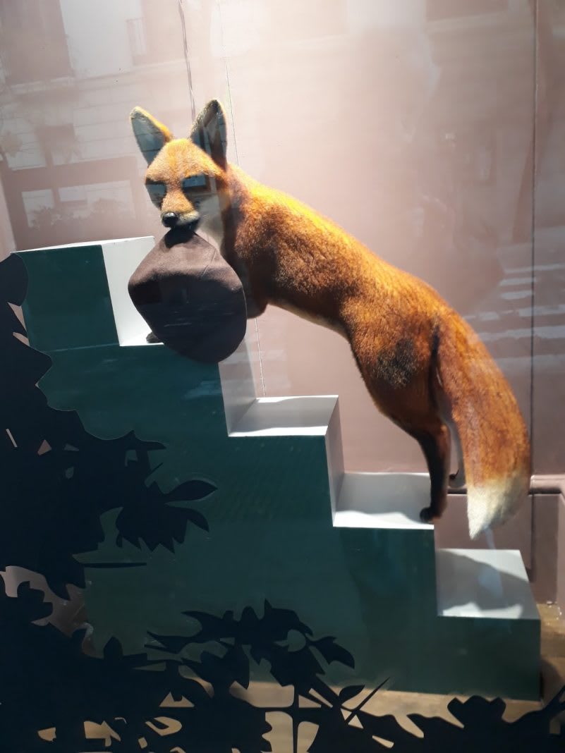 Sólo se conoce lo que uno domestica