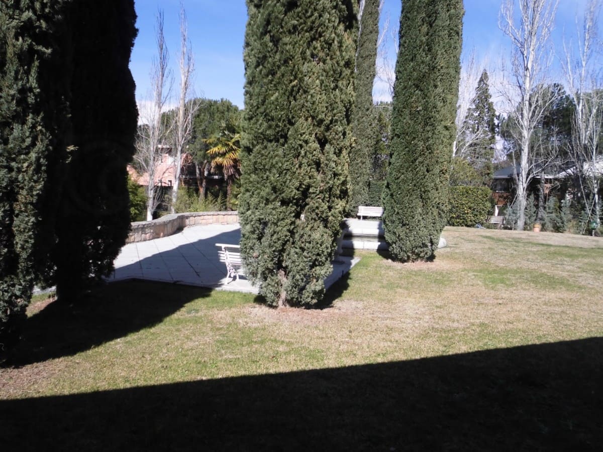 Antonio García-Trevijano y José Miguel Dominguez Leal