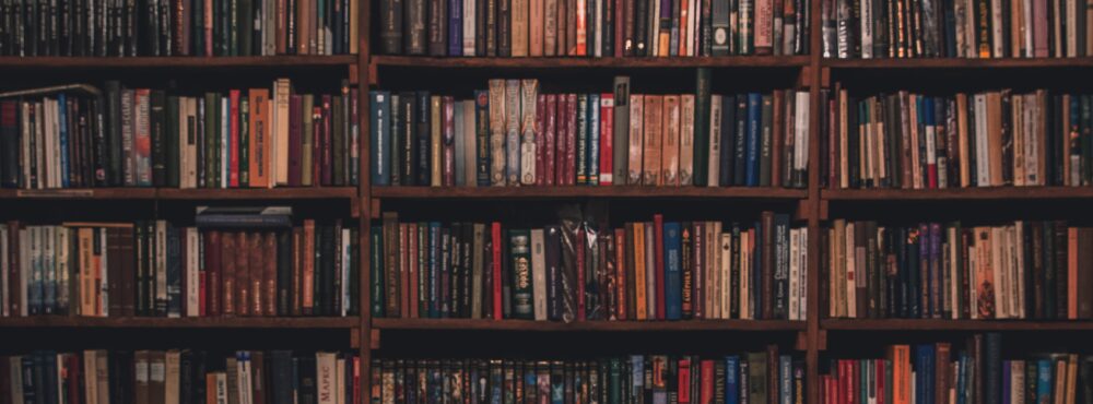 josemigueldominguezleal